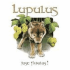 Brasserie Lupulus