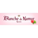 Blanche de Namur Rosee Cerveza Belga Lambic Frambuesa 25 Cl