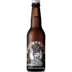 Brouwerij T IJ IPA - Cerveza Holandesa IPA 33 cl.