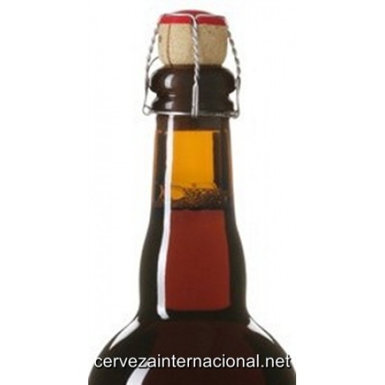 Brugse Zot Doble - Cerveza Belga Abadia Doble 75cl