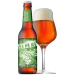 Camba Ei Pi Ai - Cerveza Alemana IPA 33cl
