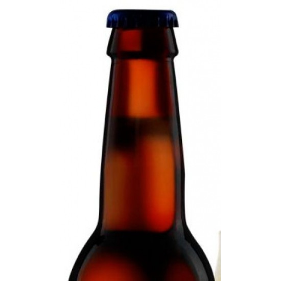 Caracole Nostradamus - Cerveza Bela Ale Fuerte Oscura 33cl