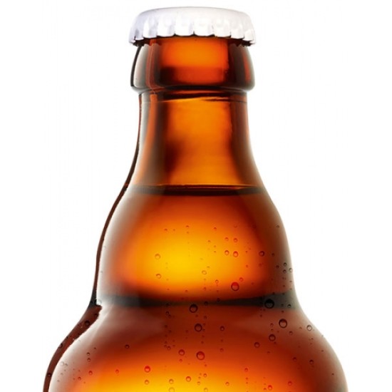 Filou - Cerveza Belga Ale 33cl