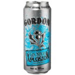 Gordon XplosioN Gin Spices - Cerveza Belga Spice LATA 50cl