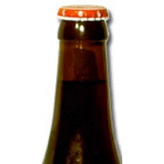 Rochefort 6º - Cerveza Belga Trapense 33cl