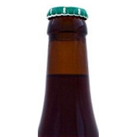 Rochefort 8º - Cerveza Belga Abadia Trapense 33cl