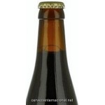 Struise Pannepot - Cerveza Belga Ale Fuerte Oscura 33 cl.